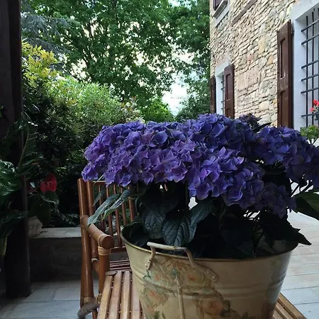 Frühstückspension Civico 7