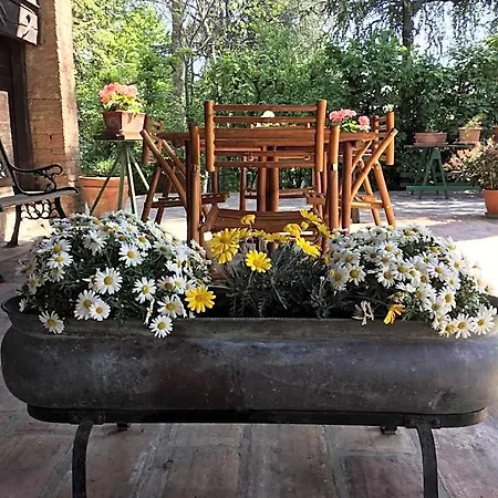 Civico 7 Bed & Breakfast