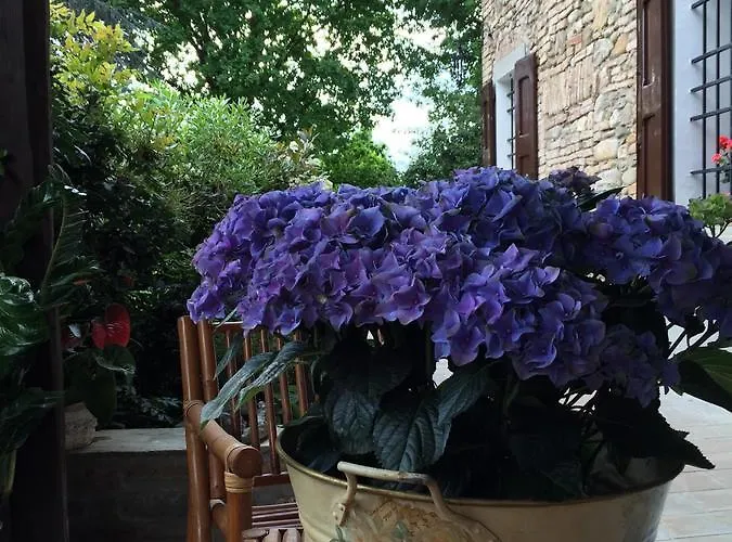 Bed & Breakfast Civico 7